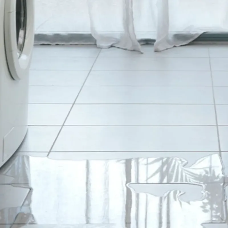 Appliance Leak Cleanup in Lely, FL