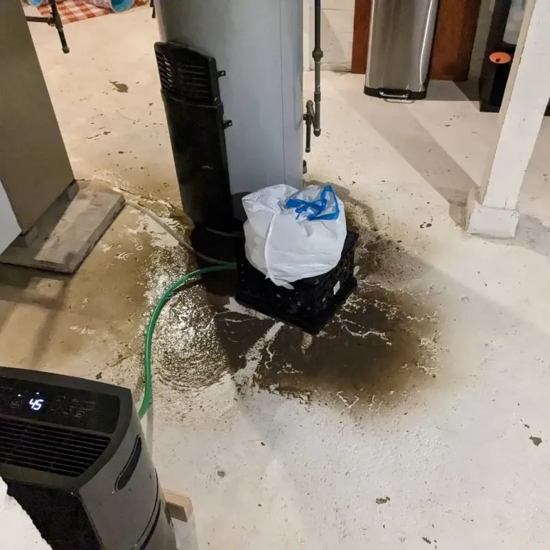 Sewage Backup Cleanup Service in Lely, FL